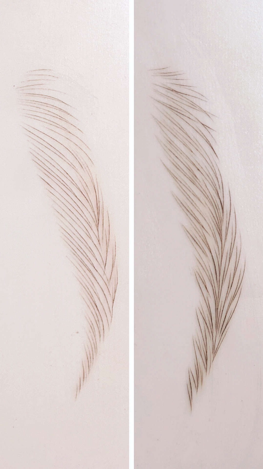 Side-by-side comparison of basic vs advanced microblading patterns by Sabrina Zanin on synthetic skin